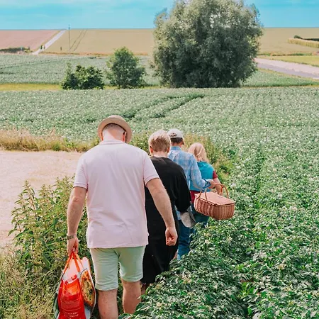 Vakantiehuis Cour 44 - De Charme Avec Sauna Et Jacuzzi