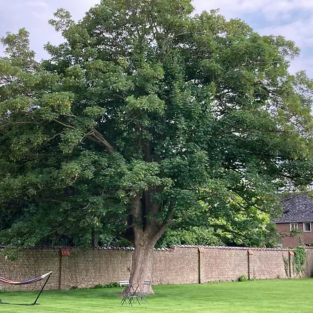 Cour 44 - De Charme Avec Sauna Et Jacuzzi * Remicourt