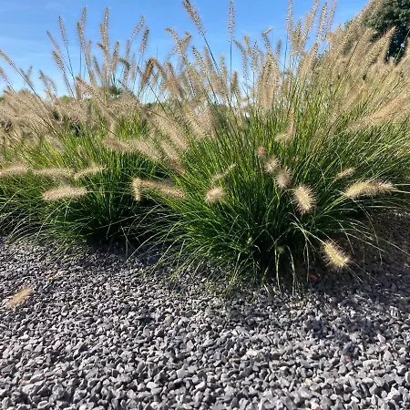 Vakantiehuis Cour 44 - De Charme Avec Sauna Et Jacuzzi *