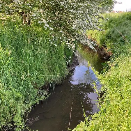 Vakantiehuis Cour 44 - De Charme Avec Sauna Et Jacuzzi Remicourt