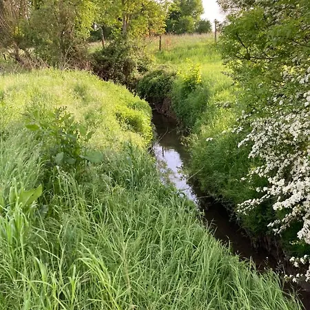 Vakantiehuis Cour 44 - De Charme Avec Sauna Et Jacuzzi Remicourt