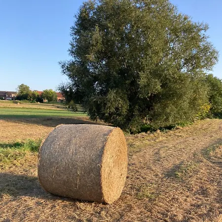 Cour 44 - De Charme Avec Sauna Et Jacuzzi * Remicourt