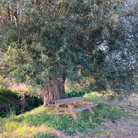 Cour 44 - De Charme Avec Sauna Et Jacuzzi Vakantiehuis *