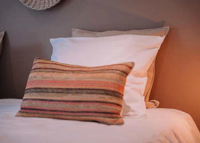 Cour 44 - De Charme Avec Sauna Et Jacuzzi * Remicourt