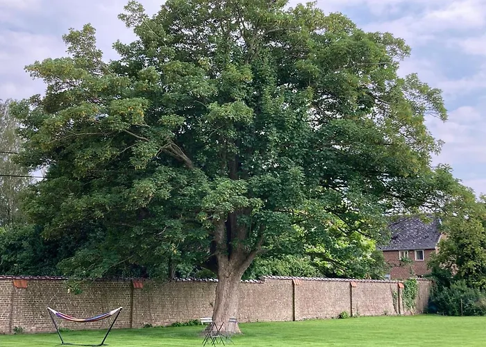 Cour 44 - De Charme Avec Sauna Et Jacuzzi * Remicourt