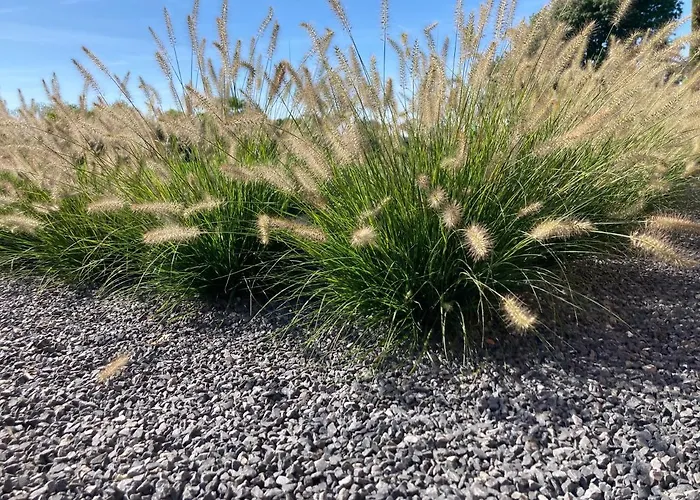 Prázdninový dům Cour 44 - De Charme Avec Sauna Et Jacuzzi *