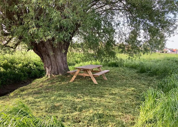 Cour 44 - De Charme Avec Sauna Et Jacuzzi * Remicourt