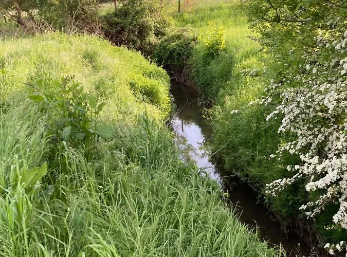 Prázdninový dům Cour 44 - De Charme Avec Sauna Et Jacuzzi Remicourt