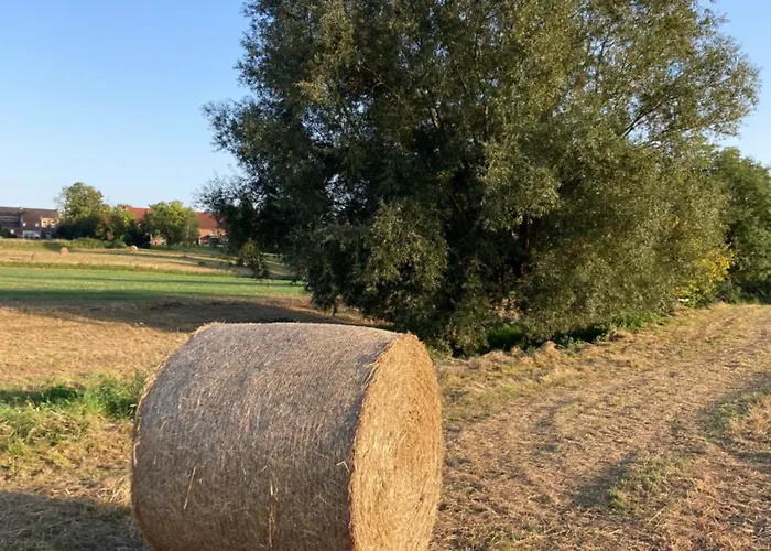 Cour 44 - De Charme Avec Sauna Et Jacuzzi * Remicourt