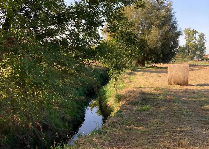 Cour 44 - De Charme Avec Sauna Et Jacuzzi