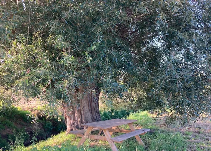 Cour 44 - De Charme Avec Sauna Et Jacuzzi Prázdninový dům *